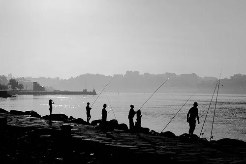 Secular Serenity Fishing Secular Serenity Fishing