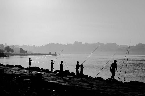 Secular Serenity Fishing